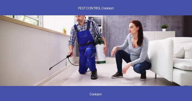 PEST CONTROL Cookson